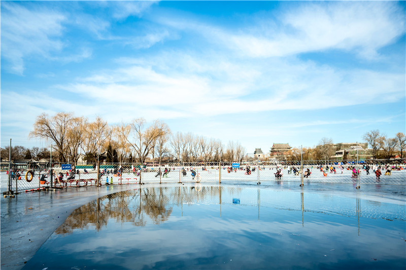 冰情雪趣绘画,冰情雪趣创意画