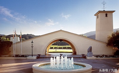 葡萄酒的真实故事视频,葡萄酒相关故事