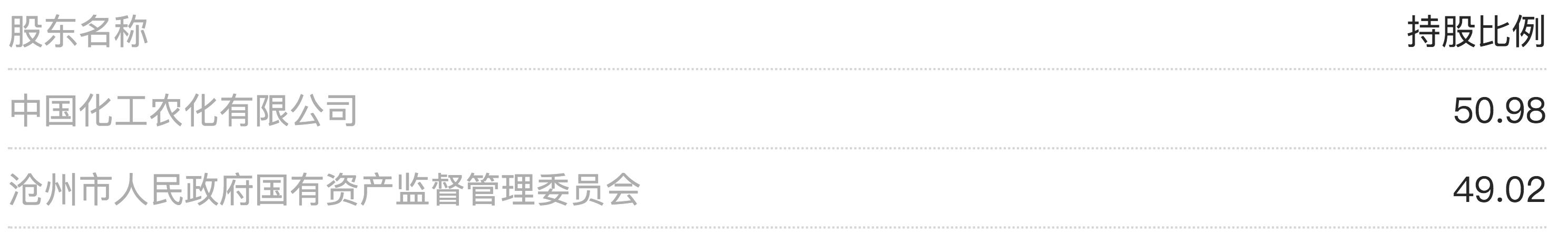 河北沧州大化股份有限公司,沧州大化集团股权出售