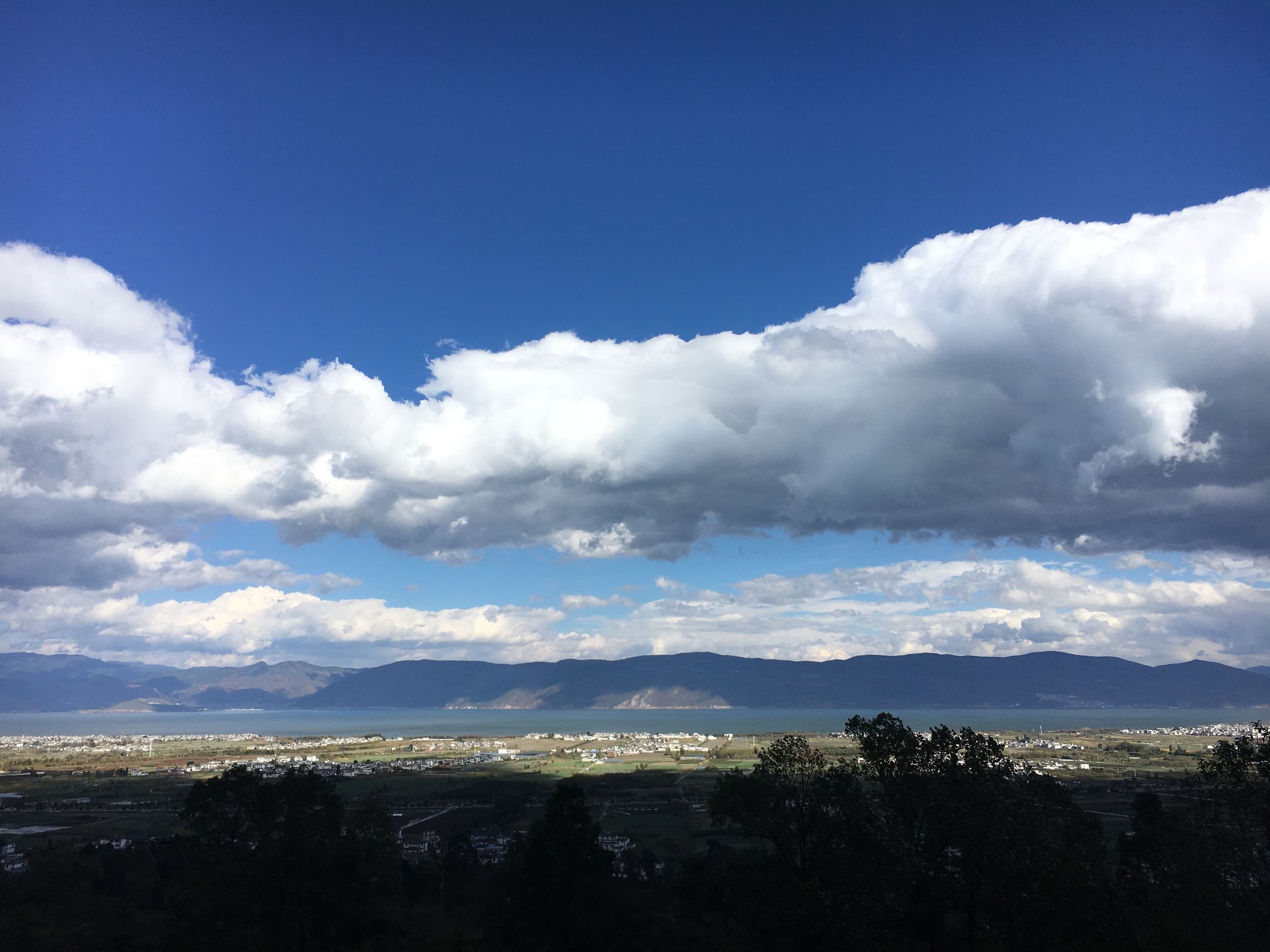 因为爱情,让旅途中的他们留在了大理