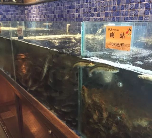 一条鱼在长春的8种死法！全城通缉作案人员