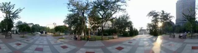 天津最值得去的公园排名榜前十,天津津南区值得游玩的公园