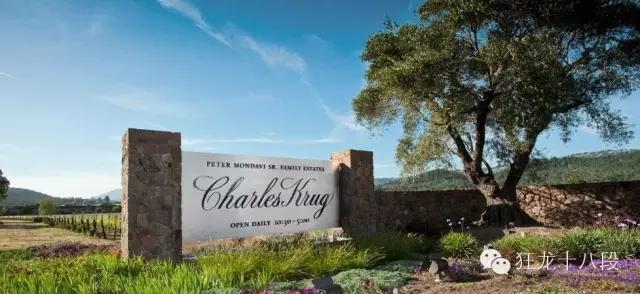 山东葡萄酒前十大品牌,世界十大葡萄酒品牌