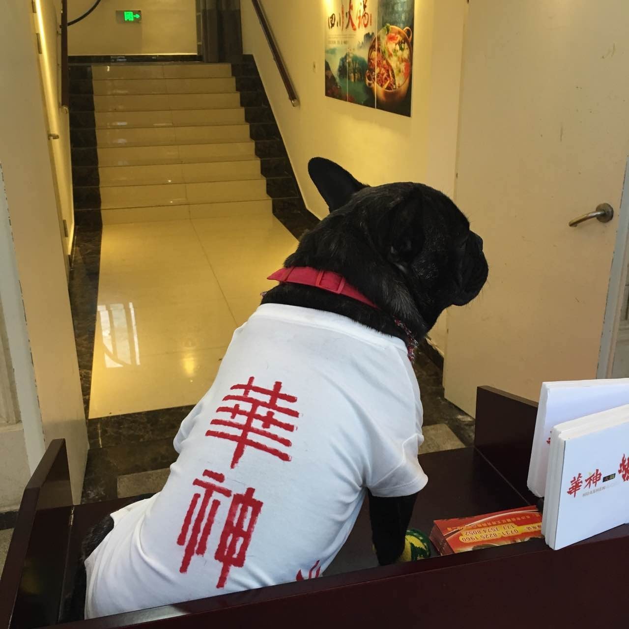 寻味长沙:华神火锅,玻璃房里吃出浪漫来