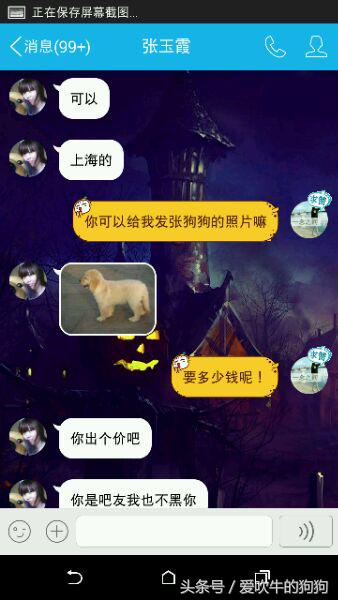 网上买狗受骗经历,大家网上买狗被骗过吗