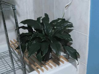 明星都在做的水光针,明星水光针前后对比效果图