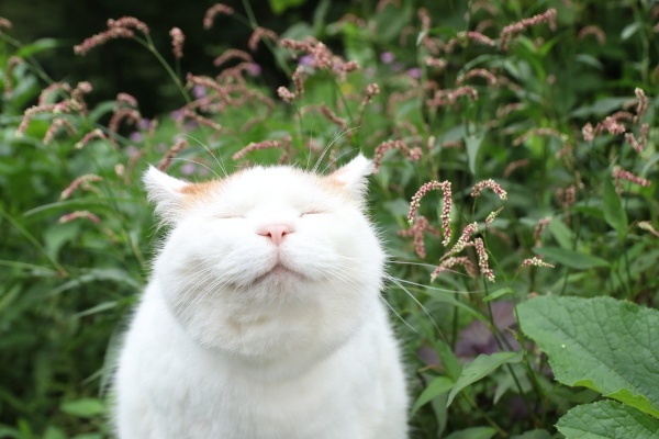 ugg事件最新结果,ugg最近的消息