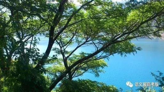 成语在句子中使用错误的类型,成语使用错误类型典例