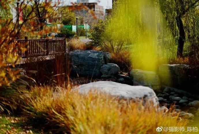 天津一日游必去的十个景点介绍,天津旅游必去十大景点1日游攻略