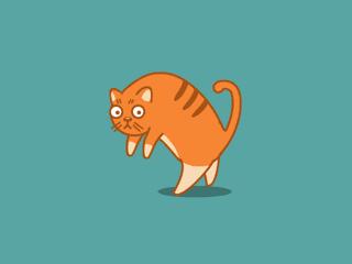 内八字脚外侧骨头突出,外八字脚好不好