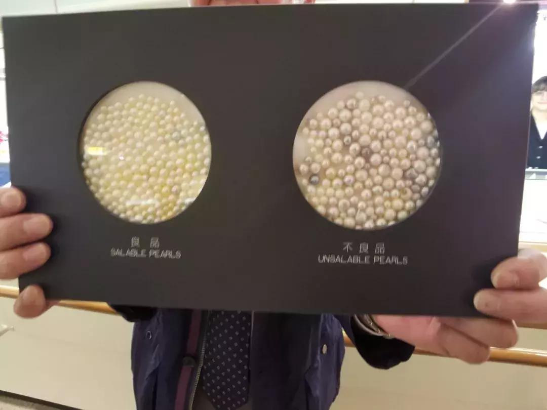 中北部升龙道深度游攻略,日本龙岛旅游攻略