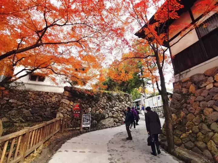 中北部升龙道深度游攻略,日本龙岛旅游攻略