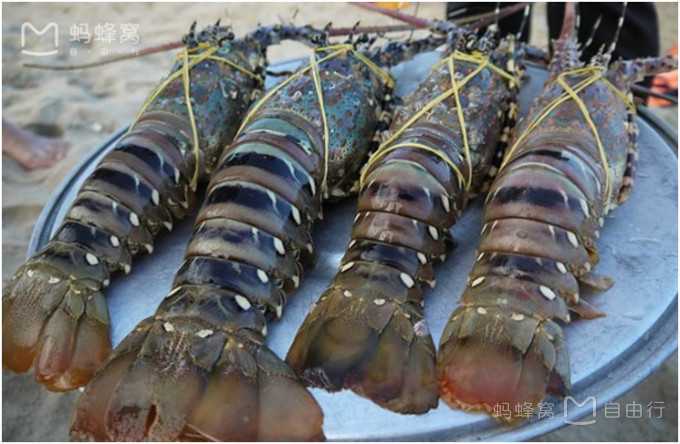 芽庄亲子游自由行攻略,芽庄旅游攻略带小孩