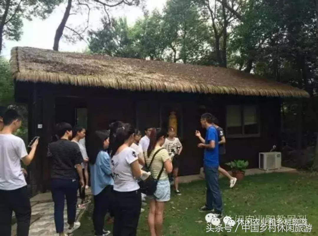 小农庄一年利润多少,二十亩地一年收入千万的小农庄