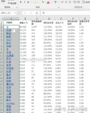 精细化店群模式,淘宝店群化教程