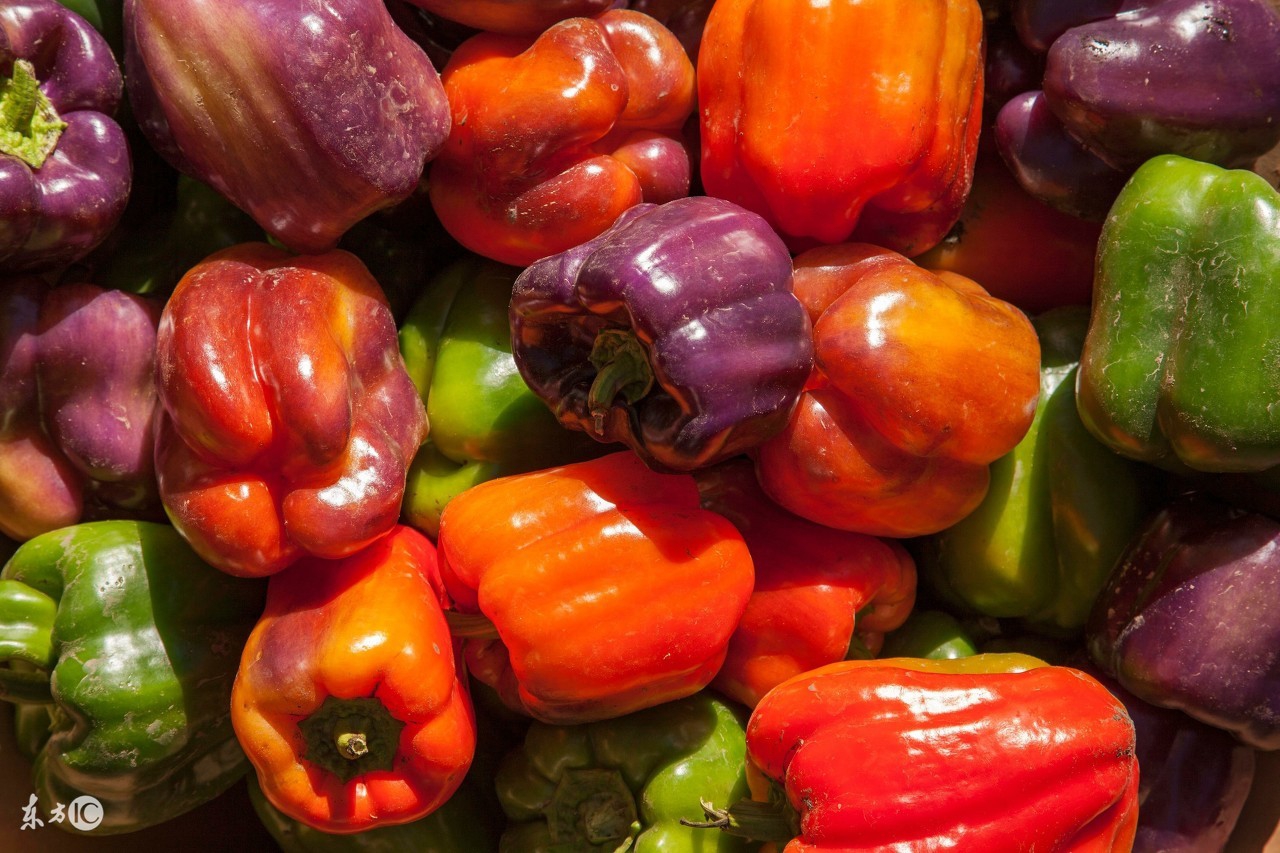 毛囊炎禁忌食物一览表,糠秕孢子菌毛囊炎哪些食物不能吃