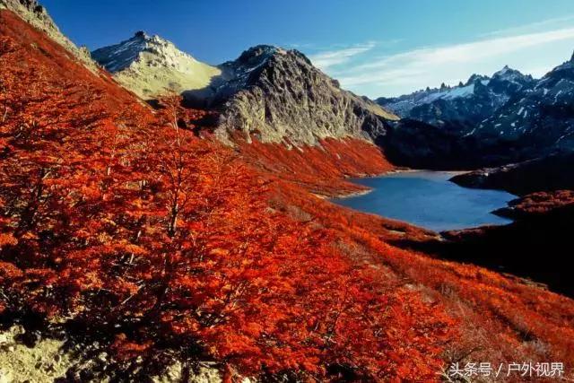 电影旅行阿根廷,阿根廷旅游攻略签证