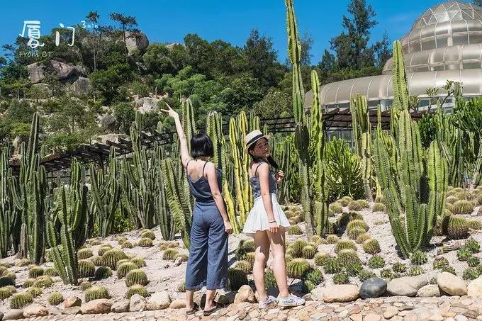 一起去厦门旅游攻略,旅游团厦门看海攻略