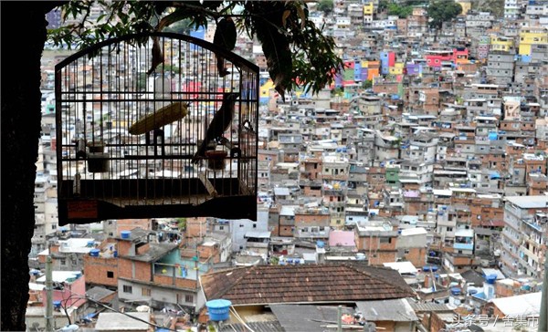 巴西贫民窟与豪宅,巴西贫民窟房屋
