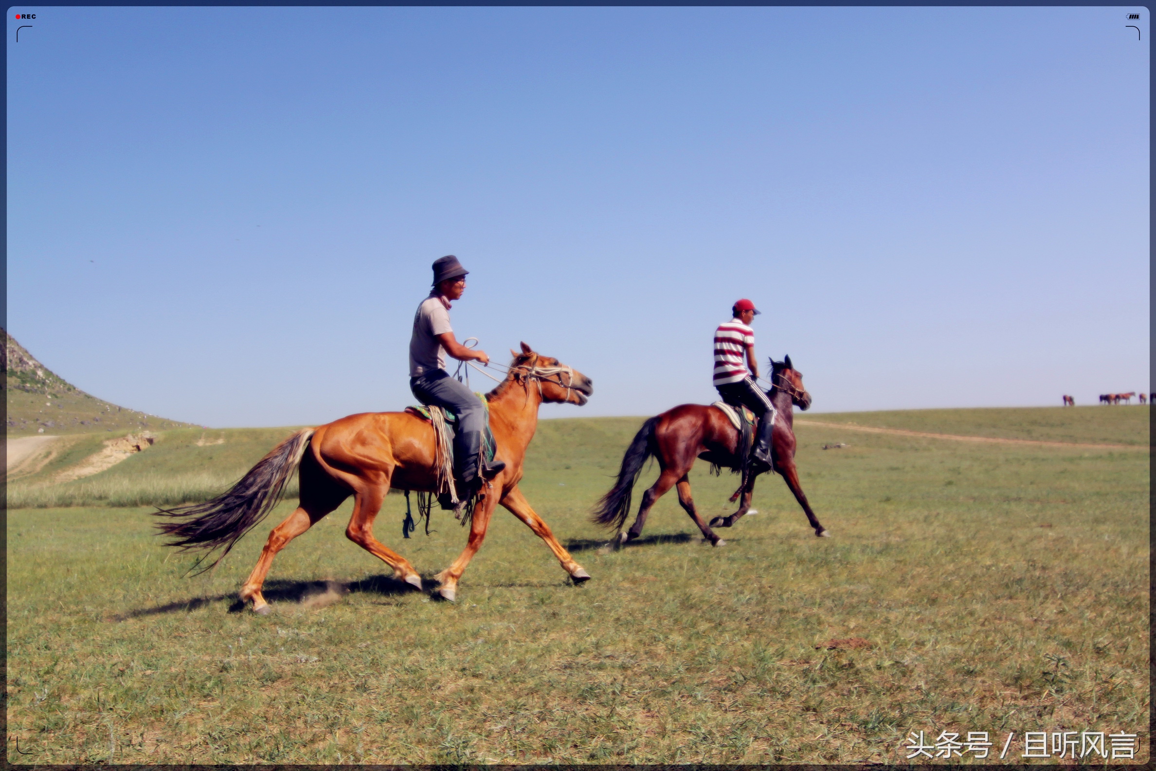 达里诺尔湖到锡林郭勒,锡林郭勒四天三晚旅游攻略自驾游