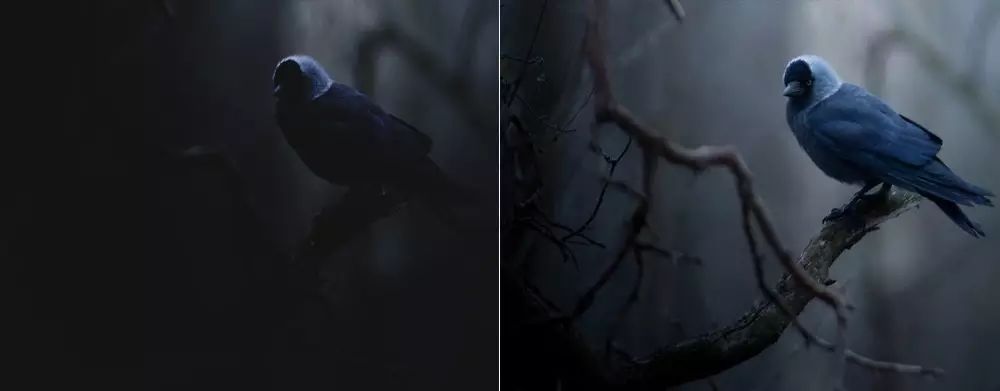 一副好耳机到底能给英语学习带来什么好处呢？