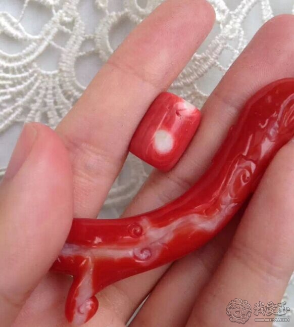 什么样的珊瑚是最好的,最好看的十种珊瑚