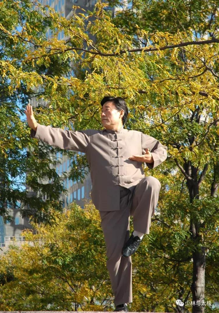 习武体悟:道近乎技,尽心而知性