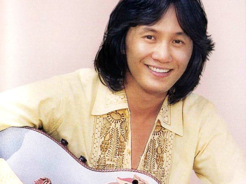 歌手王菲有多厉害,王菲十大实力女歌手