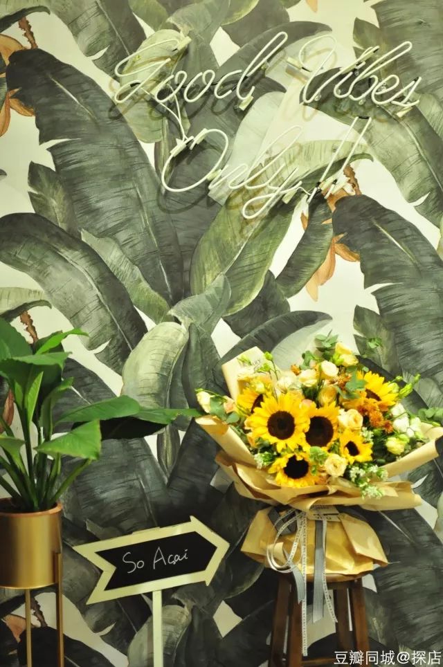 深圳本周有什么活动,最近深圳周末有什么活动吗