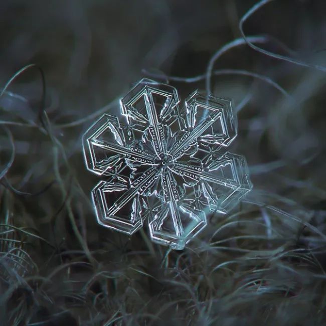历时8年用微距镜头拍摄的雪花,超级微距拍摄雪花