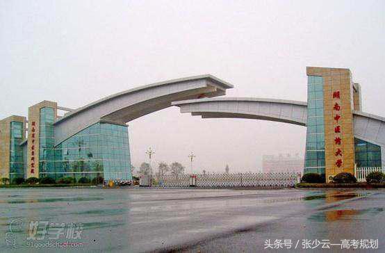 广东省有中医学成教的院校,中医学考研最容易考的院校