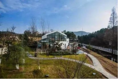 亲子推荐│蝶梦山丘—让蝶入梦、与蝶共舞