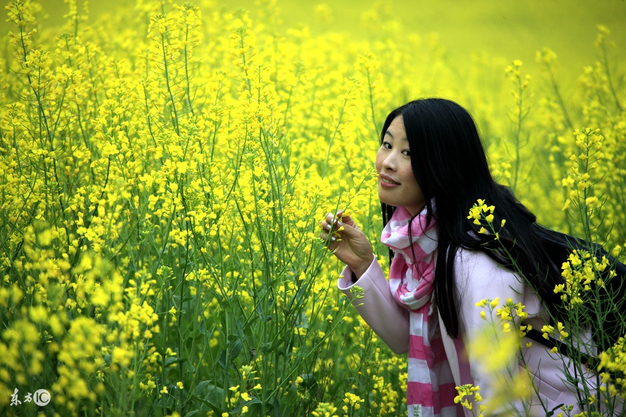 那一年漫长的回家路,那一年的留恋
