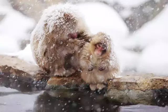 北海道自由行路线攻略,第一次去北海道去哪