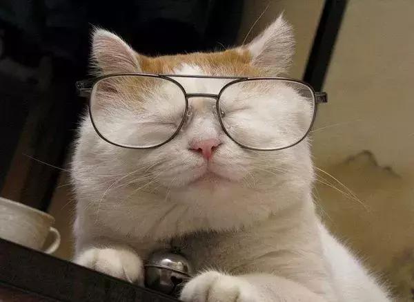 一年戴隐形眼镜不摘会涨到多少度,长期不摘隐形眼镜却不难受