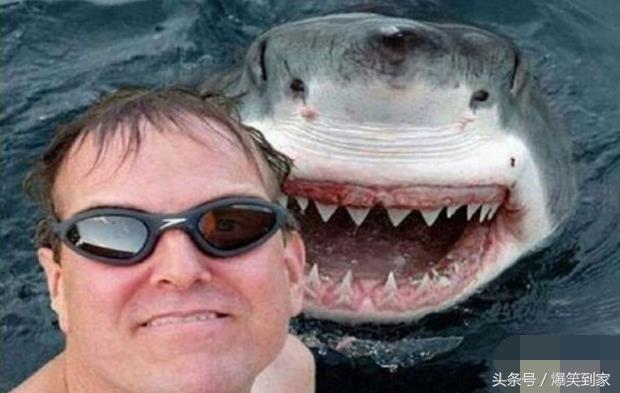 女生做梦梦到你了怎么回,女人梦到好多冰水在流