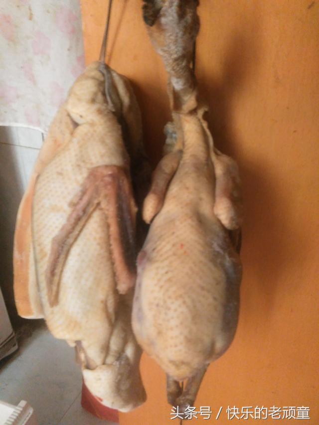 央视点评寿县咸鹅,寿县咸鹅味道怎么样