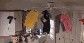 曾小贤搭帐篷是哪一季,曾小贤孪生兄弟在第几季