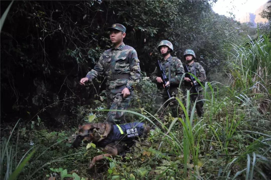 火箭军地下洞库,火箭军洞库的环境