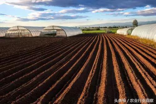 全国农业发展十大机遇,中国农业十大进展