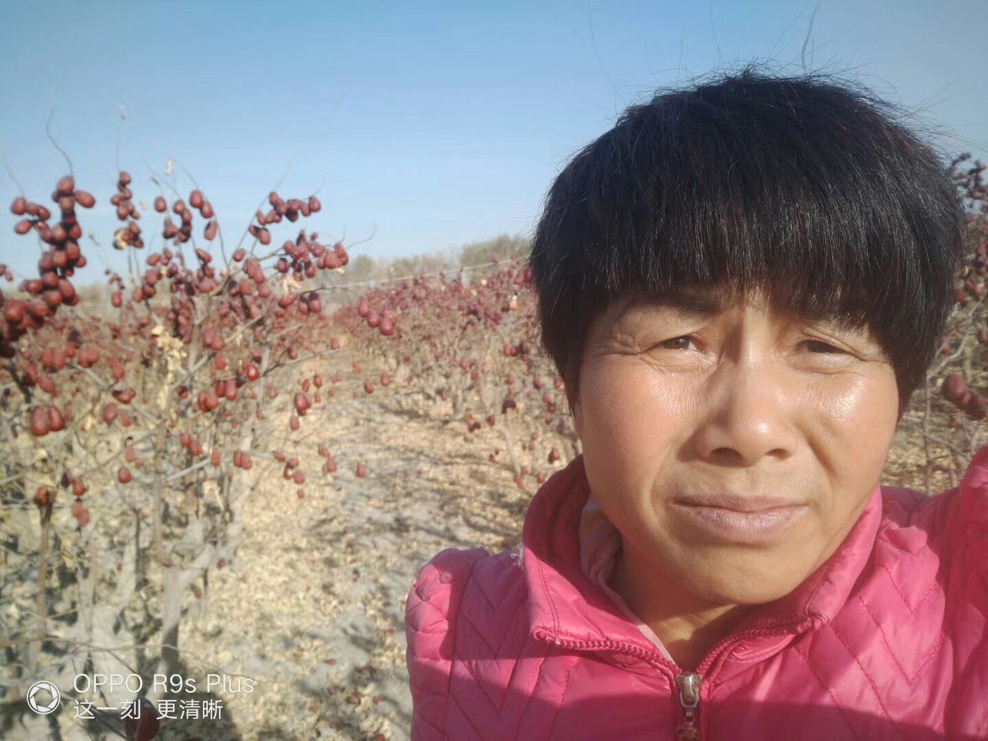 农村土特产王姐,农村盖房王姐