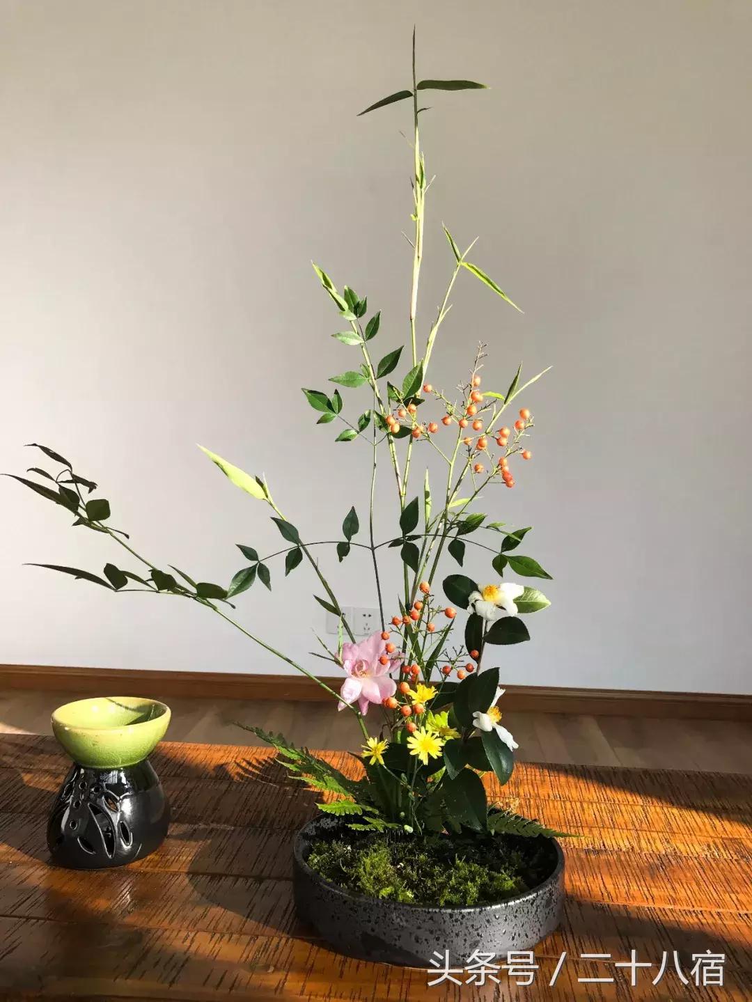 住民宿还能成为果蔬乐园,住民宿可以自己做饭提供食材吗