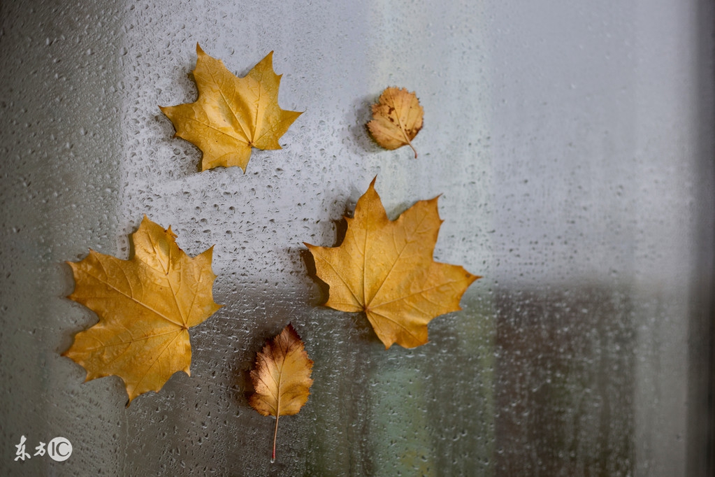 中医养生知识大全100条建议收藏,孕产妇给医院的建议