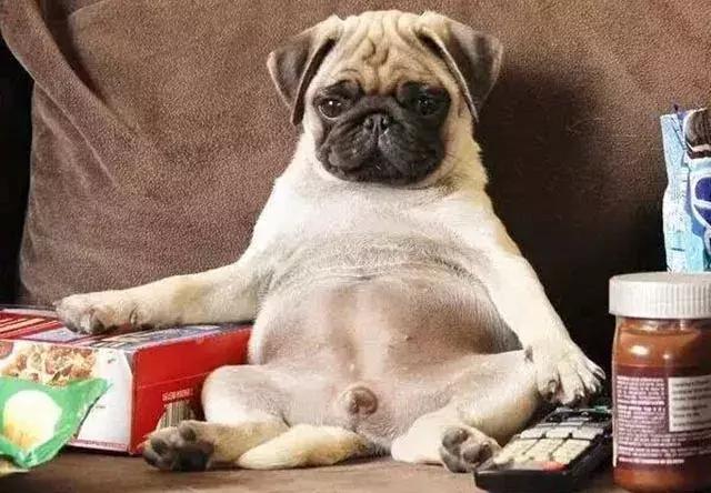 人类尾巴尾椎骨疼痛什么原因,为什么尾巴会痛