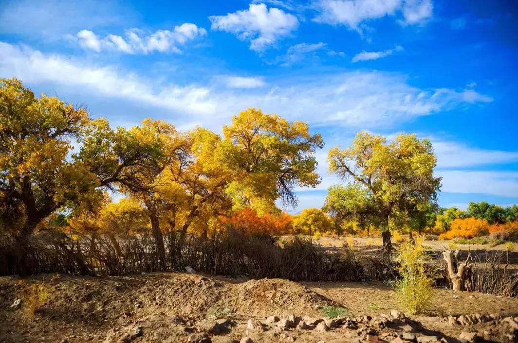 收藏一些自己喜欢的东西,收藏起来你一定用得到