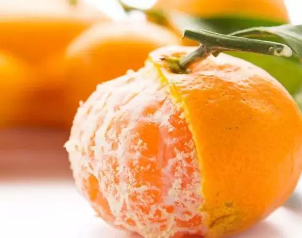 浙江适合旅居的地方,浙江宜居之地