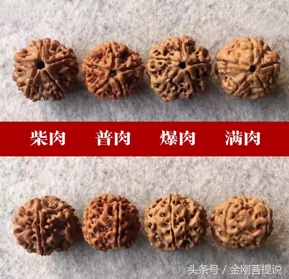 金刚好的还是坏的,金刚菩提爆肉和超肉有什么区别