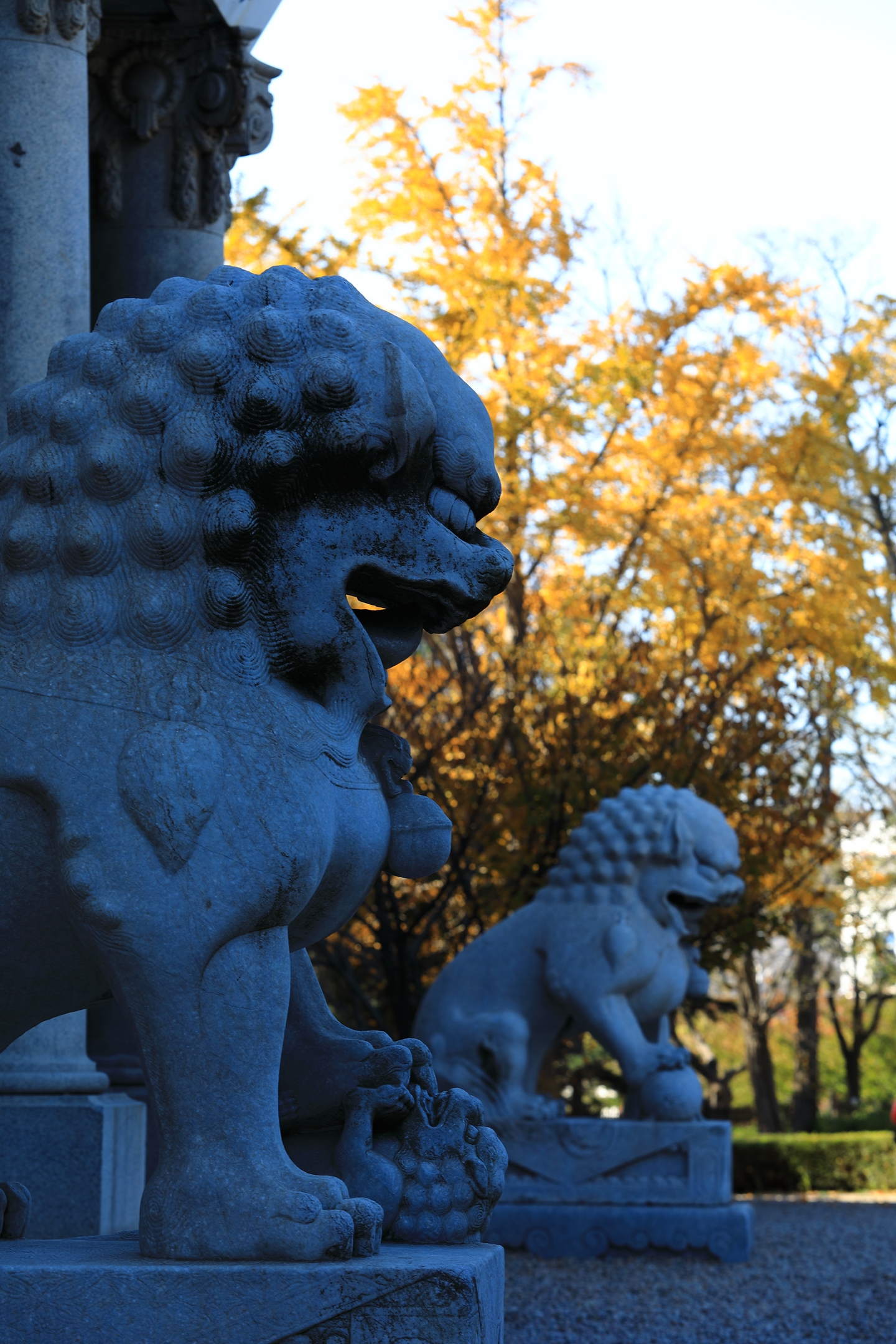 爱上旅顺这座城,爱上大连这座城市