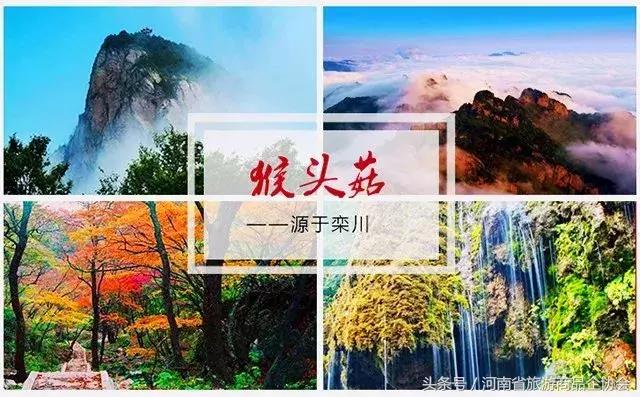 老家河南巩义礼物,老家礼物