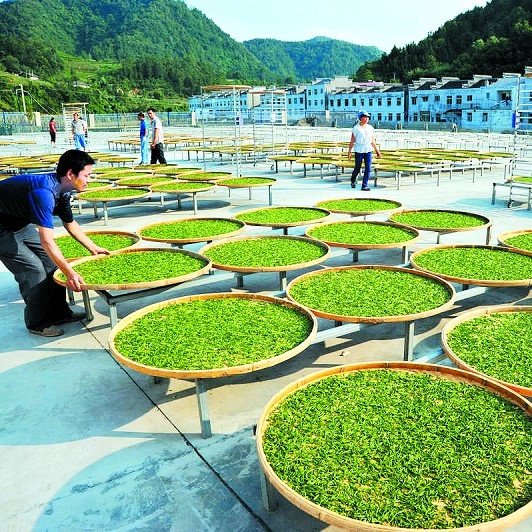 终须滚水走一趟，养就壶中满目春